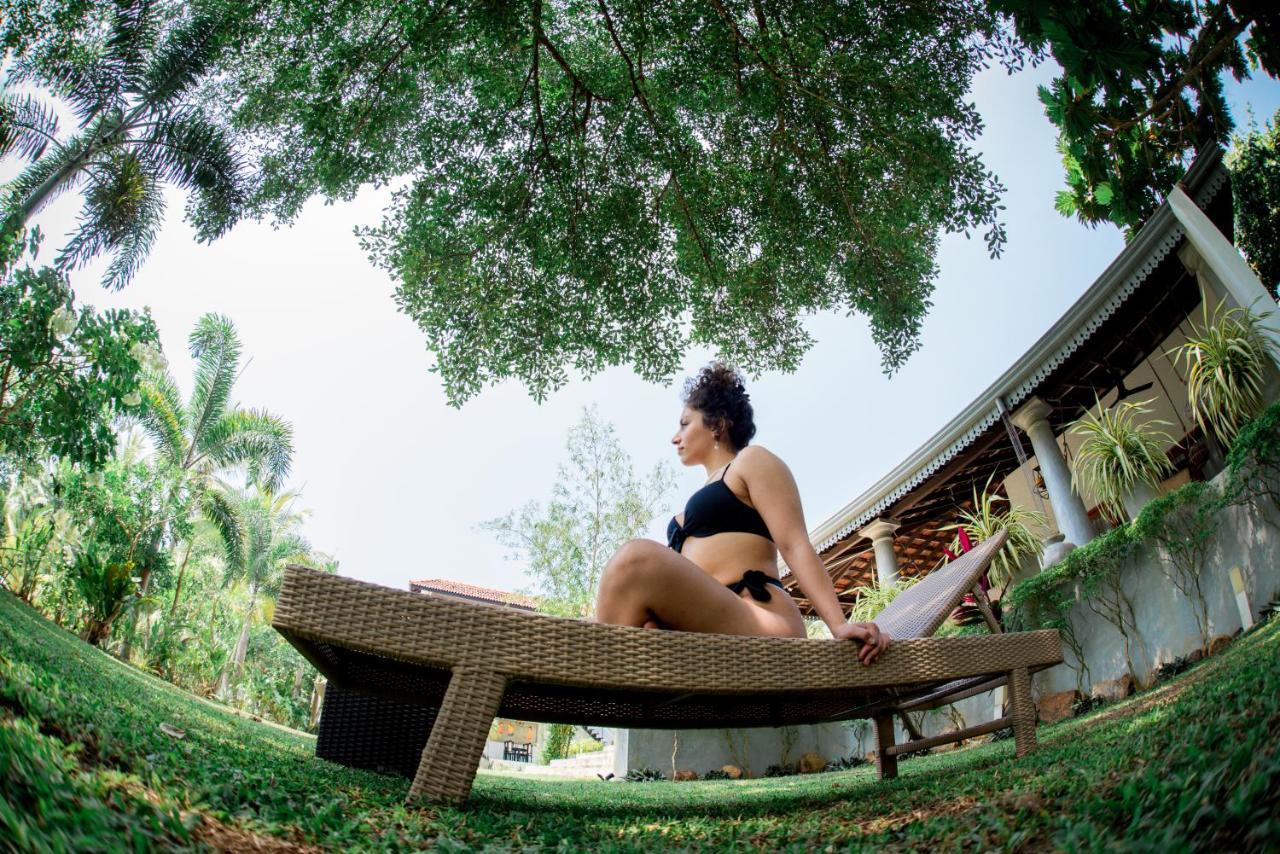 Tropical House - Jungleside Villa 希克杜沃 外观 照片