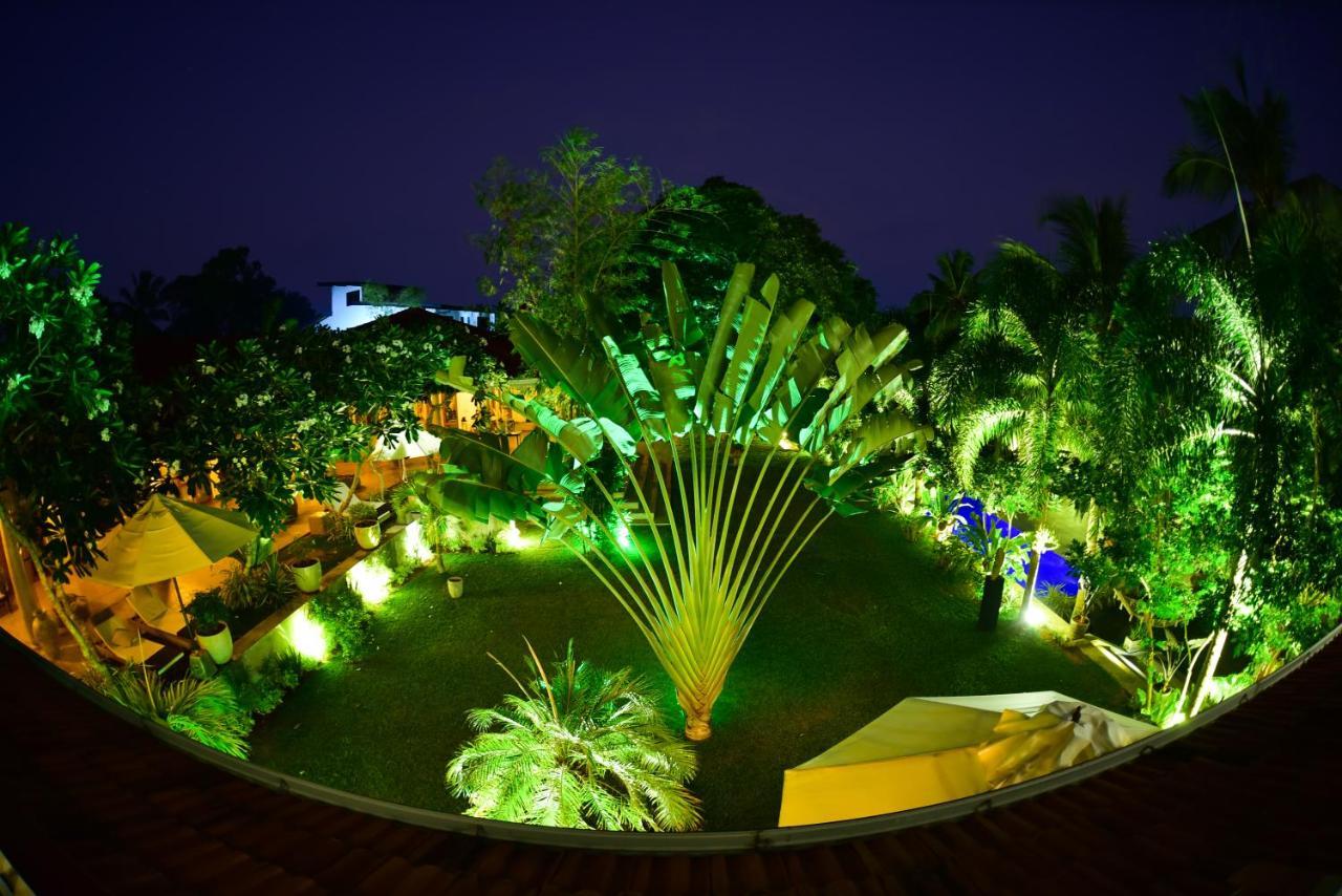 Tropical House - Jungleside Villa 希克杜沃 外观 照片